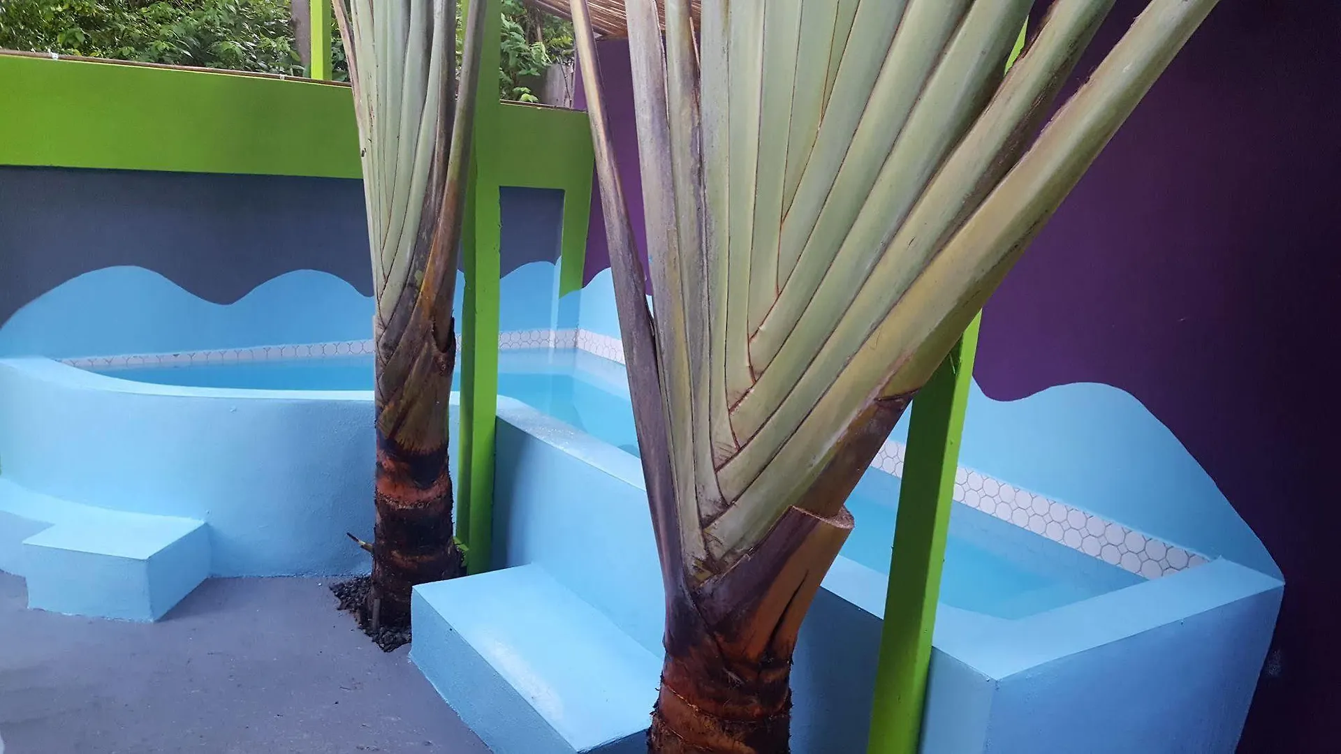 Vieques Good Vibe Guest House Puerto Rico